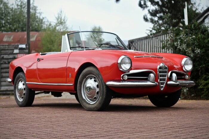 Immagine 6/7 di Alfa Romeo Giulia 1600 GTC (1966)