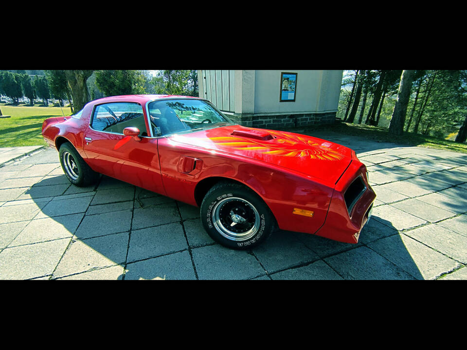 Image 8/26 of Pontiac Firebird TransAm (1977)