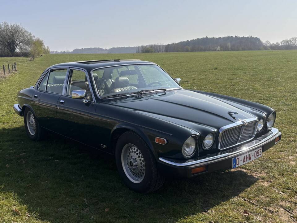 Bild 8/8 von Jaguar XJ 12 (1992)