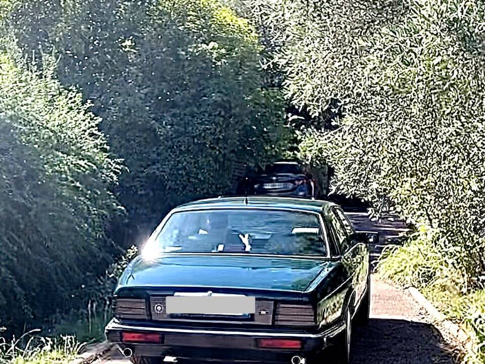 Bild 39/51 von Jaguar XJR 4.0 Sport (1991)