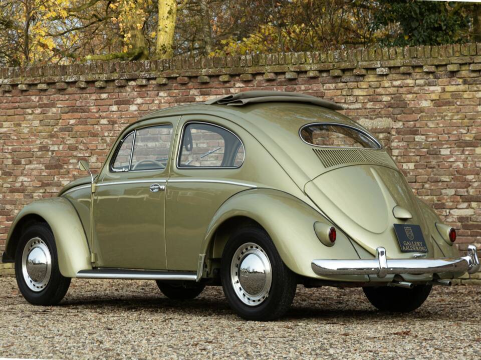 Bild 39/50 von Volkswagen Beetle 1200 Standard "Oval" (1956)