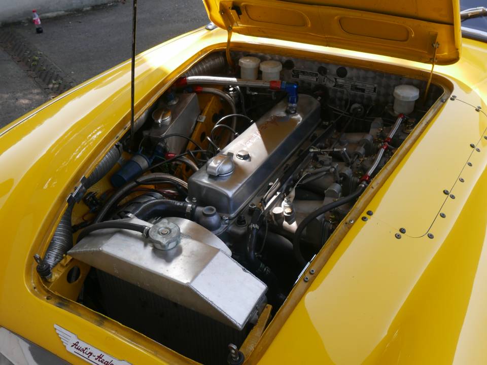 Immagine 41/52 di Austin-Healey 3000 Mk I (BN7) (1959)