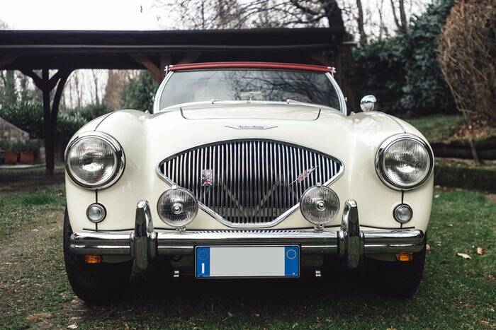 Image 2/7 de Austin-Healey 100&#x2F;4 (BN1) (1954)