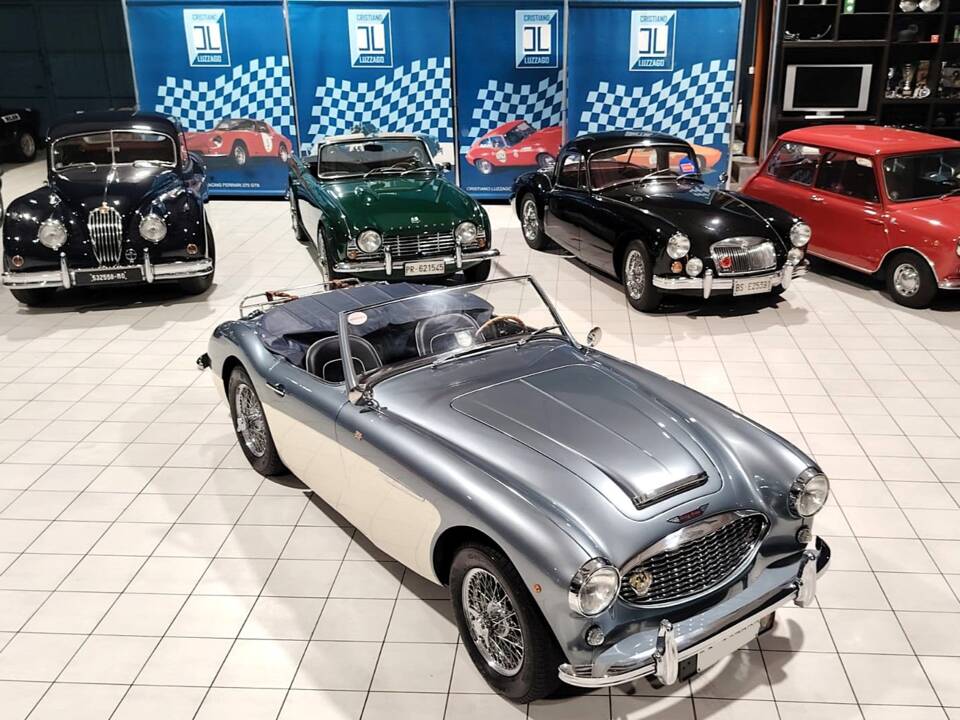 Imagen 13/72 de Austin-Healey 100/6 (BN4) (1957)