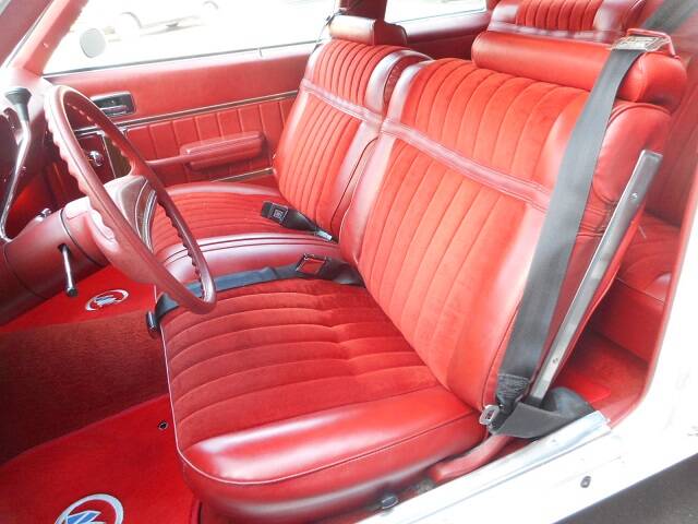 Image 10/23 of Buick Skylark Coupe (1976)
