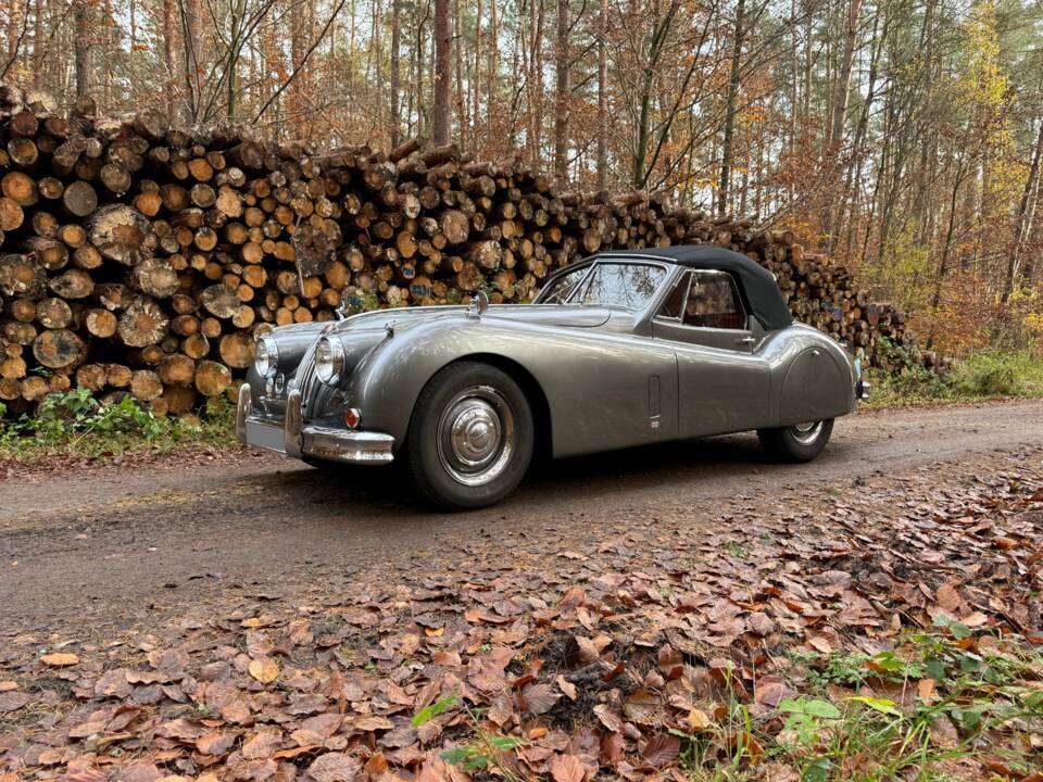 Image 5/25 de Jaguar XK 140 DHC (1956)