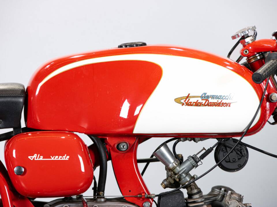 Immagine 17/50 di Aermacchi Ala Verde (1964)
