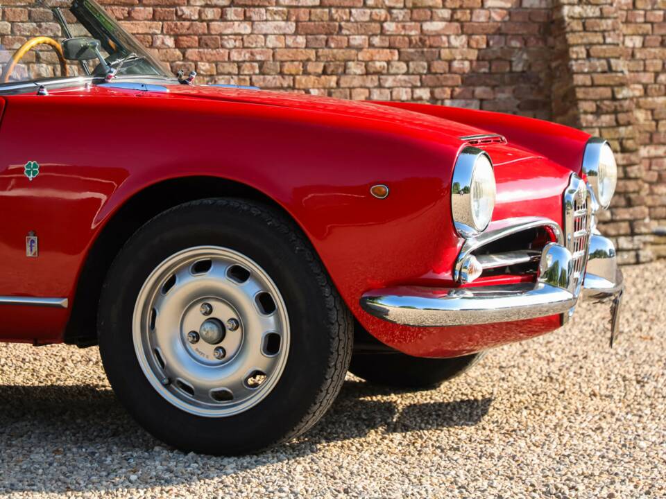 Image 14/50 of Alfa Romeo Giulia 1600 Spider (1963)