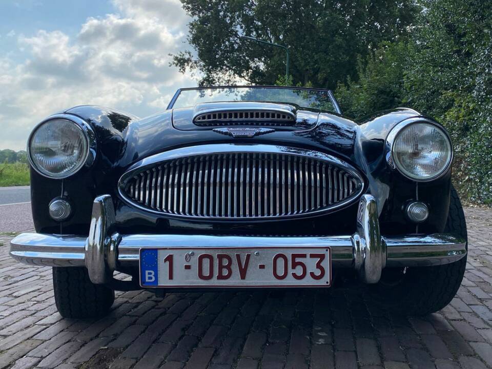 Bild 6/8 von Austin-Healey 3000 Mk II (BN7) (1962)