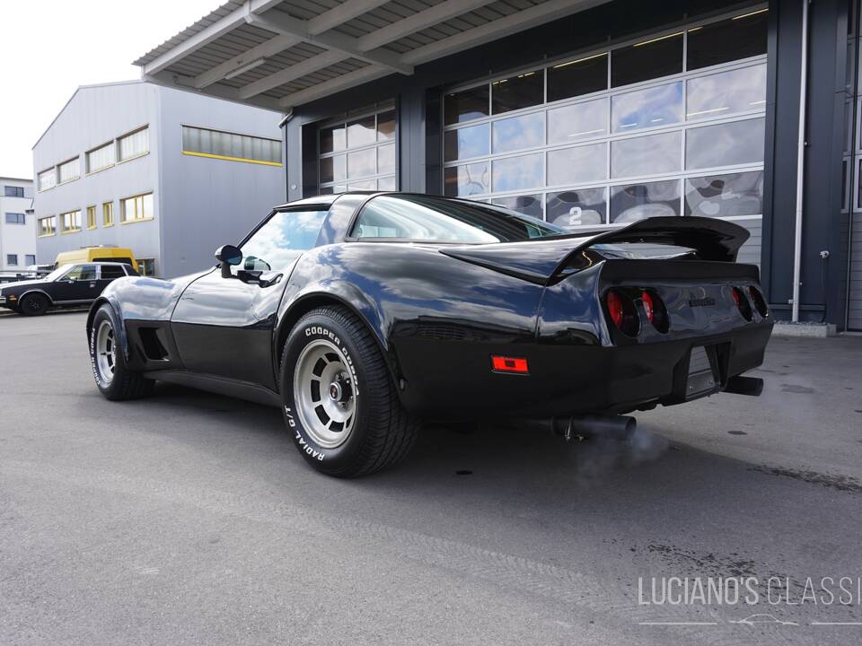 Bild 7/58 von Chevrolet Corvette Sting Ray (1979)
