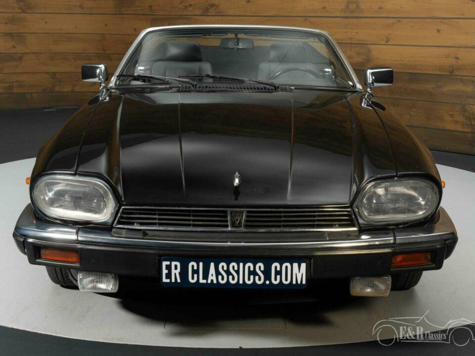 Image 5/19 de Jaguar XJS 5.3 V12 (1990)