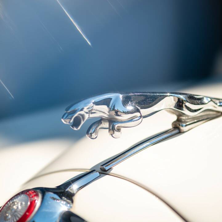 Image 30/50 de Jaguar Mk II 3.8 (1963)