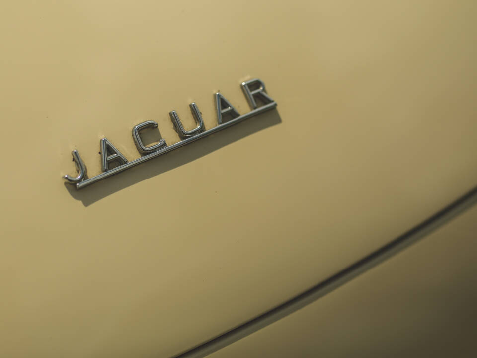 Image 22/78 of Jaguar E-Type 3.8 (1962)