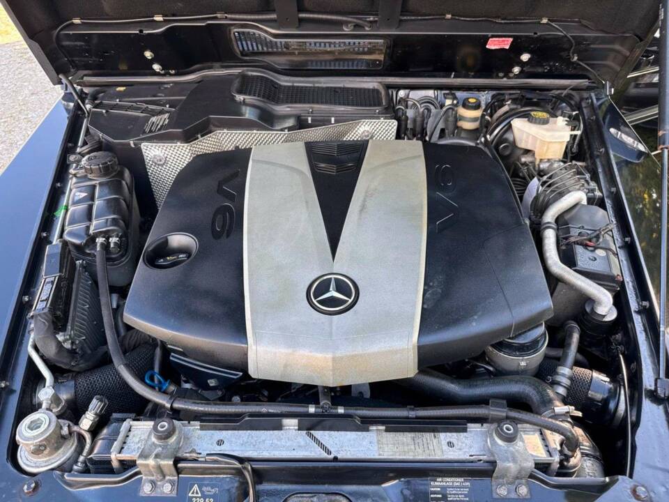 Image 18/18 of Mercedes-Benz G 350 Bluetec (SWB) (2011)