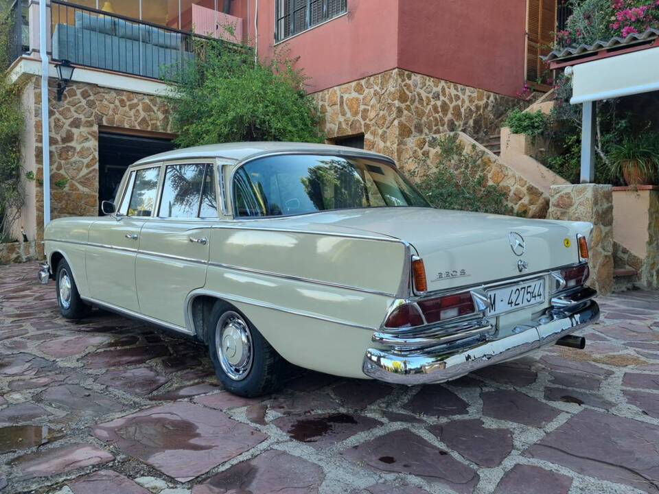 Immagine 3/8 di Mercedes-Benz 220 SE b (1965)