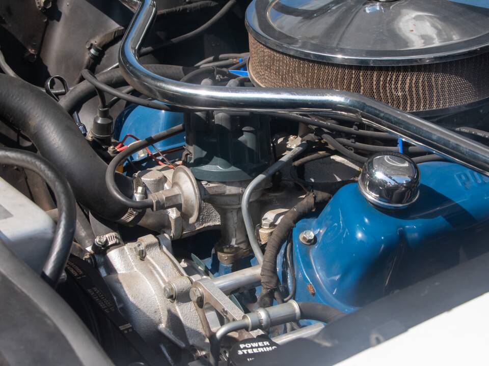 Image 32/54 of Ford Shelby GT 350 (1965)