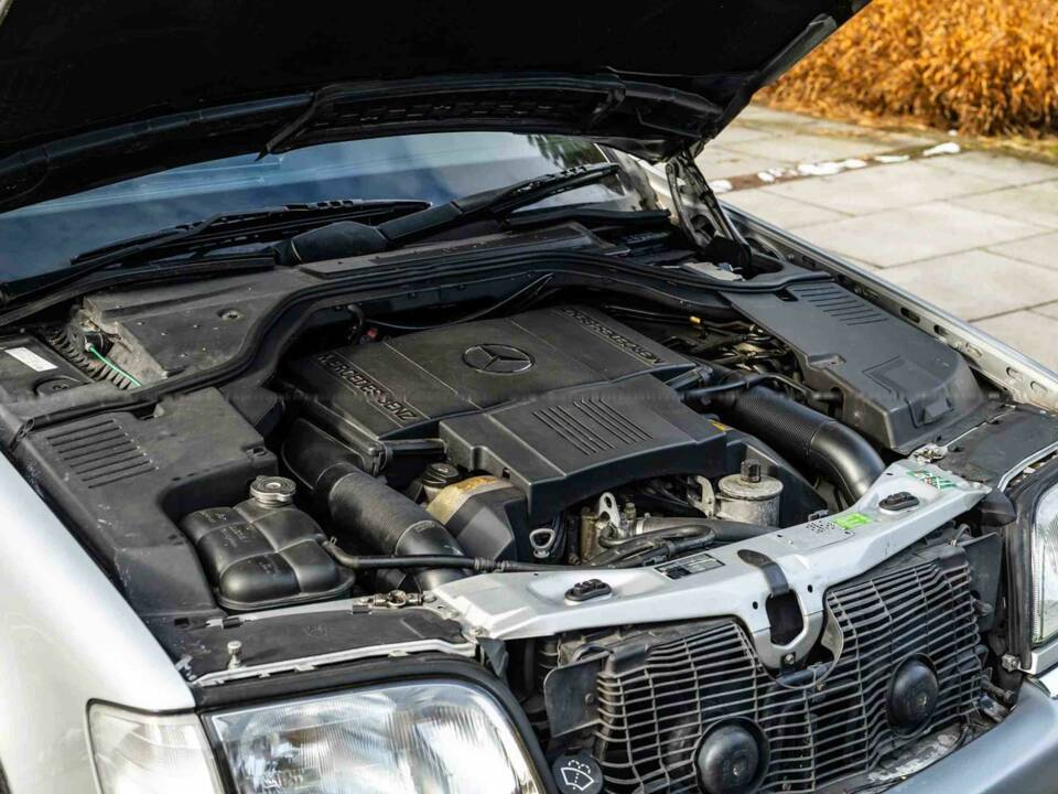 Afbeelding 5/13 van Mercedes-Benz S 500 (1995)