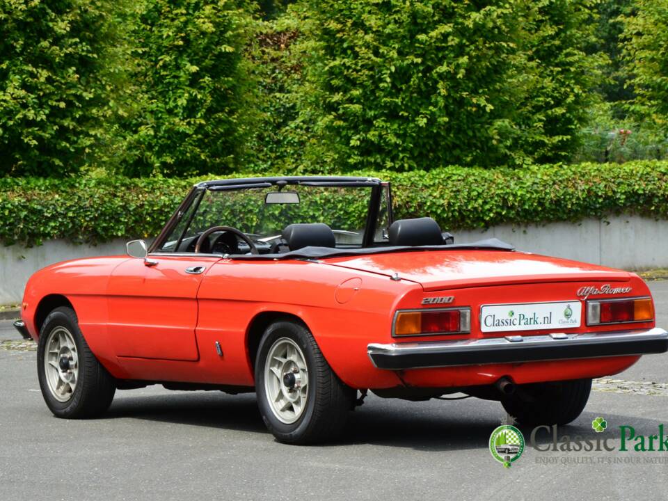Imagen 3/50 de Alfa Romeo 2000 Spider Veloce (1981)
