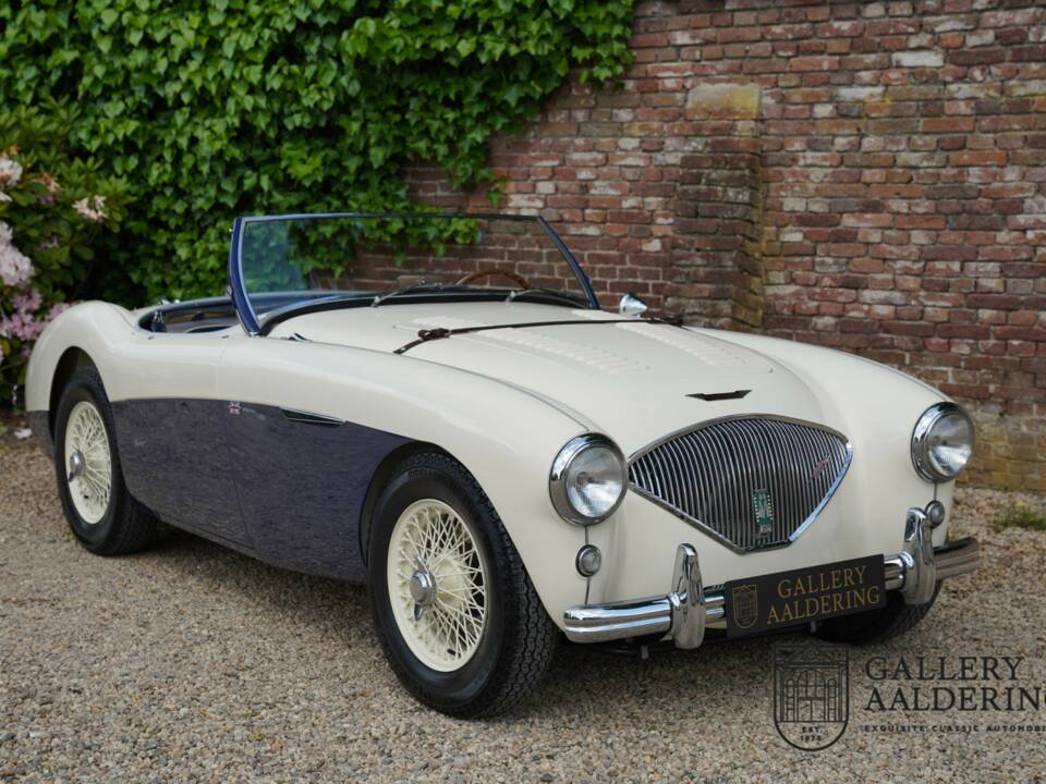 Image 26/50 of Austin-Healey 100/4 (BN1) (1954)