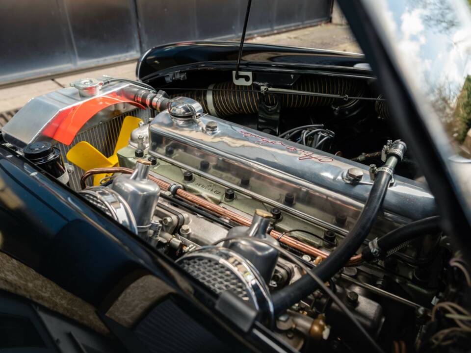 Afbeelding 23/23 van Austin-Healey 3000 Mk I (BN7) (1962)