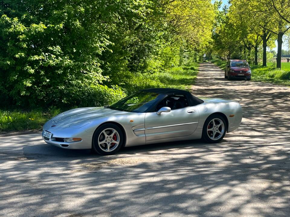 Image 8/50 of Chevrolet Corvette (2001)