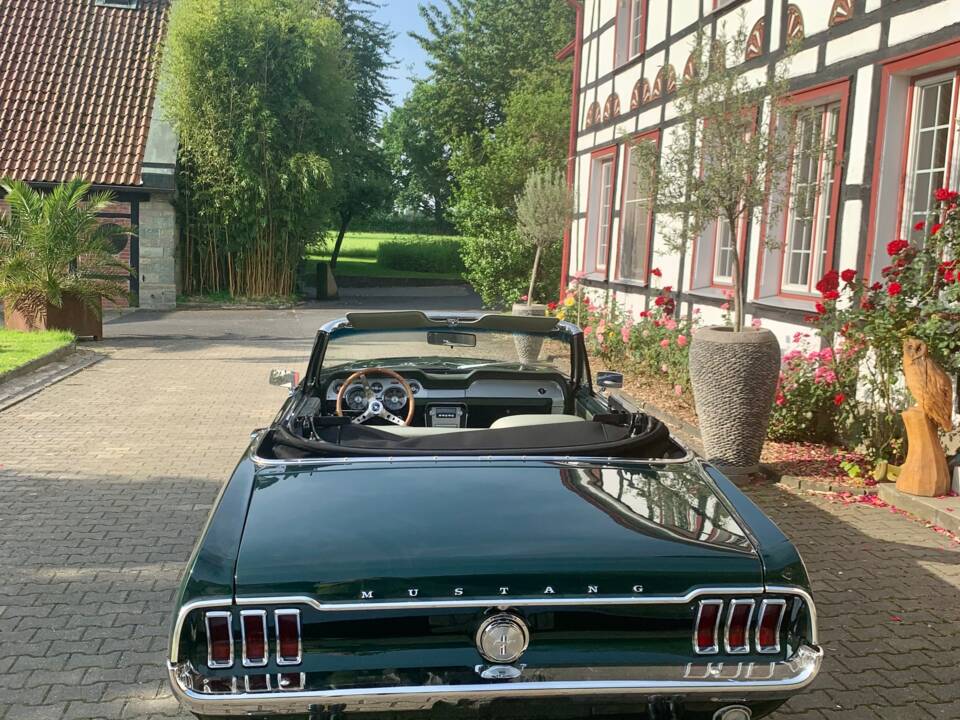 Immagine 6/16 di Ford Mustang 302 (1967)