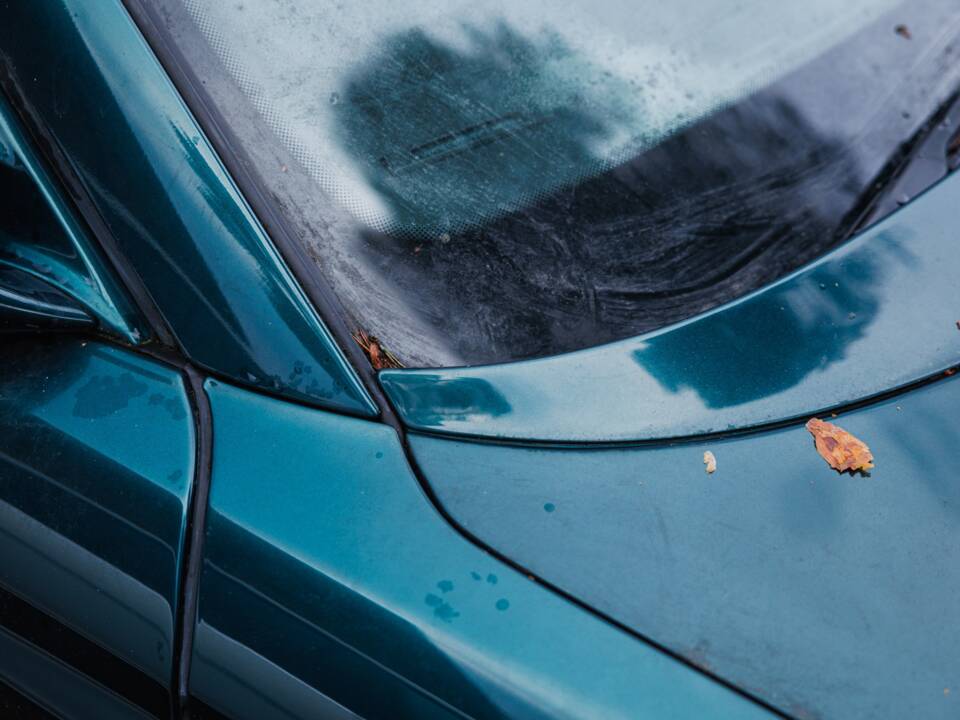 Bild 20/50 von BMW 850CSi (1994)