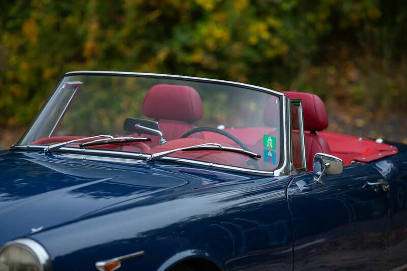 Bild 47/50 von Alfa Romeo 2600 Spider (1962)
