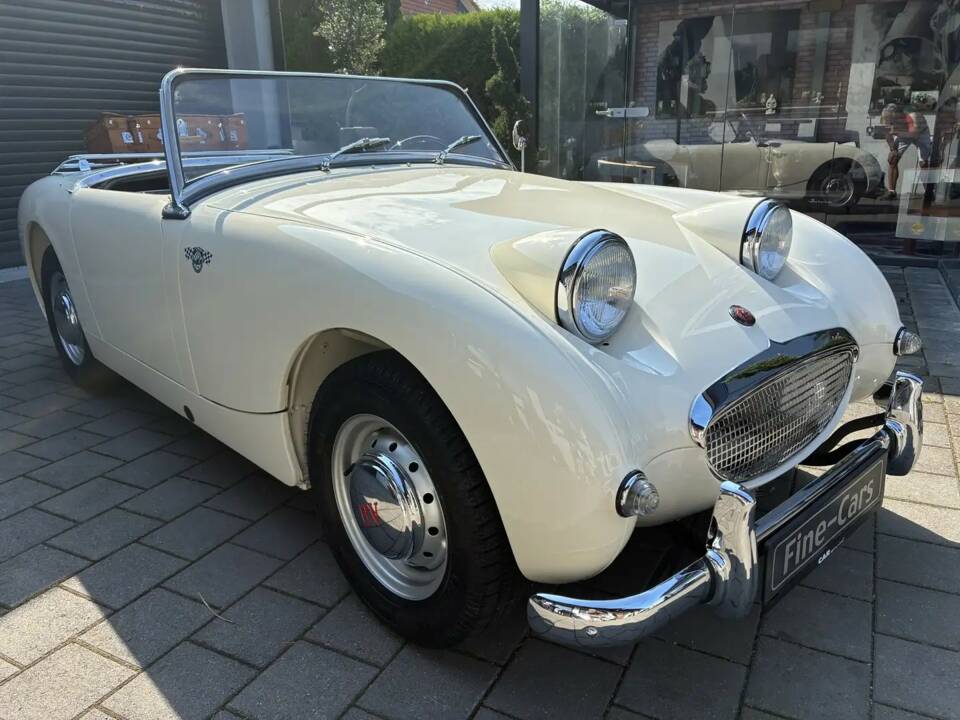 Image 14/20 of Austin-Healey Sprite Mk I (1960)