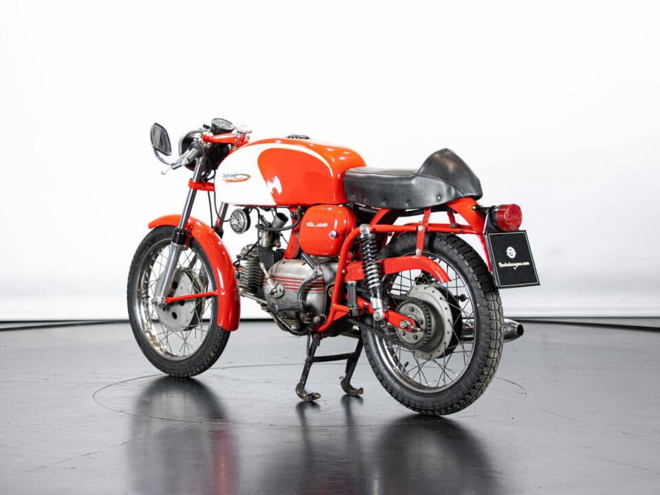 Image 2/50 of Aermacchi Ala Verde (1964)