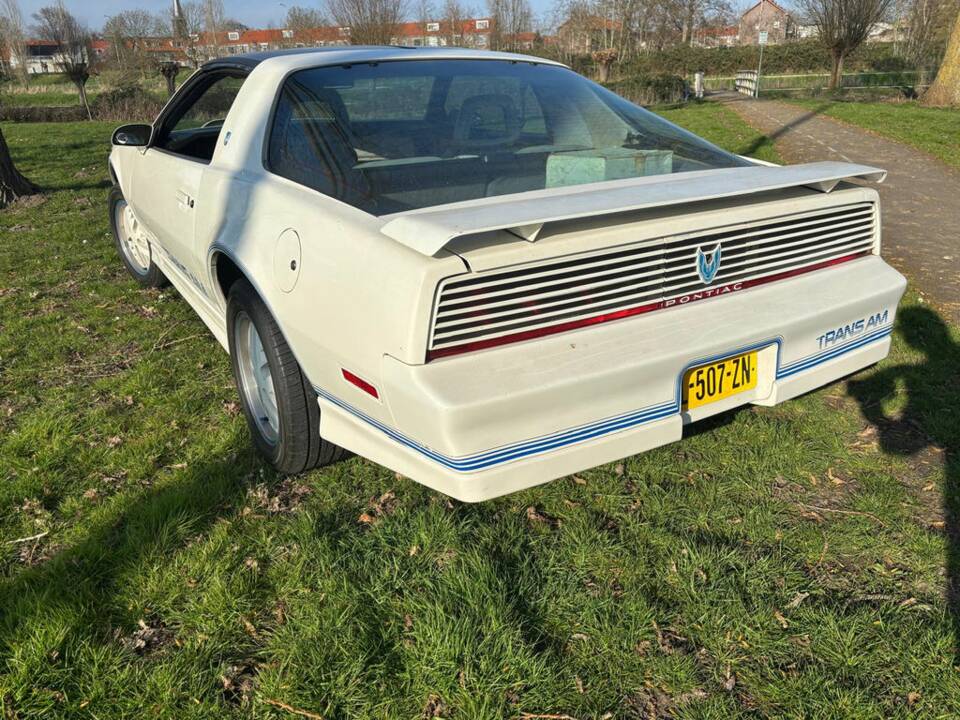 Image 4/8 de Pontiac Firebird TransAm (1984)