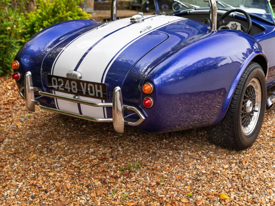 Bild 18/50 von AC Cobra 289 (1997)