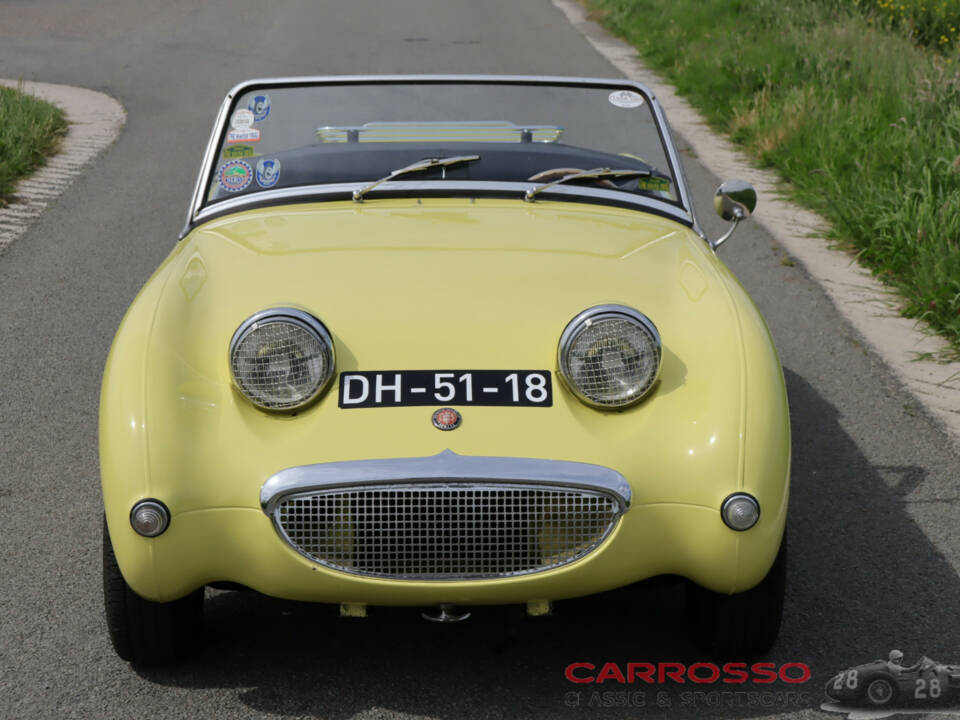 Immagine 6/44 di Austin-Healey Sprite Mk I (1959)