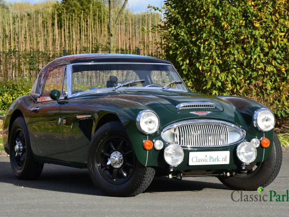 Bild 7/50 von Austin-Healey 3000 Mk III (BJ8) (1967)