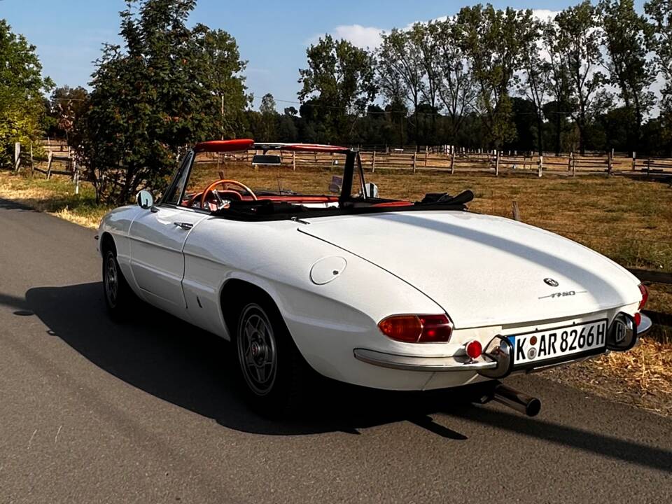Afbeelding 10/19 van Alfa Romeo 1750 Spider (1969)