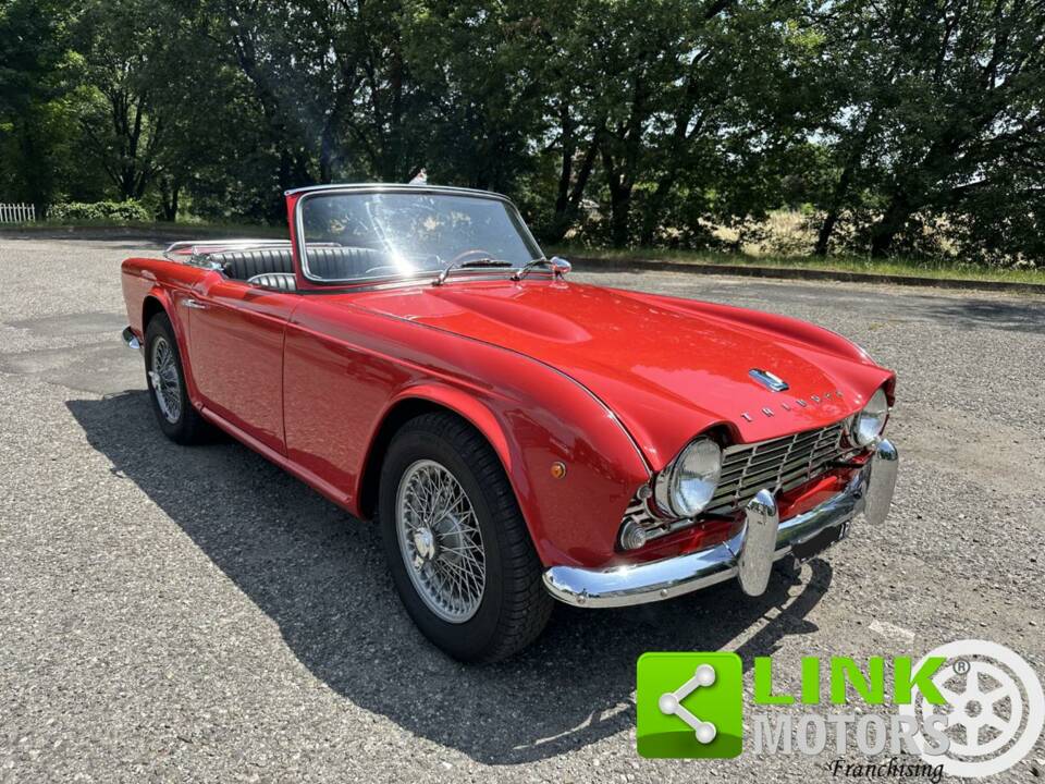 Immagine 8/10 di Triumph TR 4 (1965)