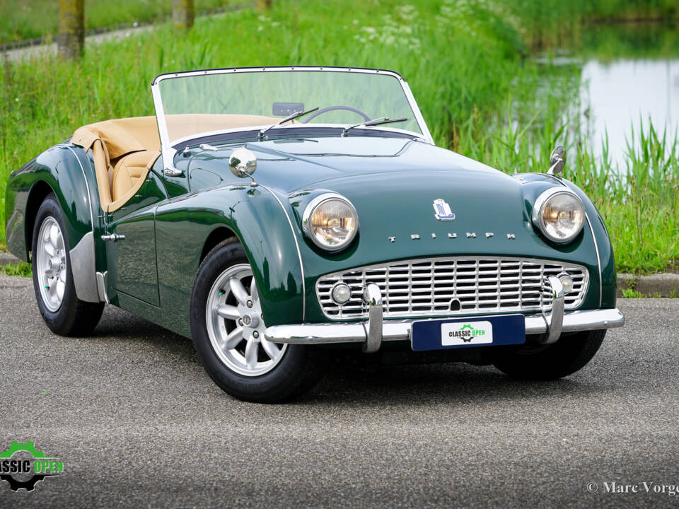 Image 11/41 of Triumph TR 3A (1959)