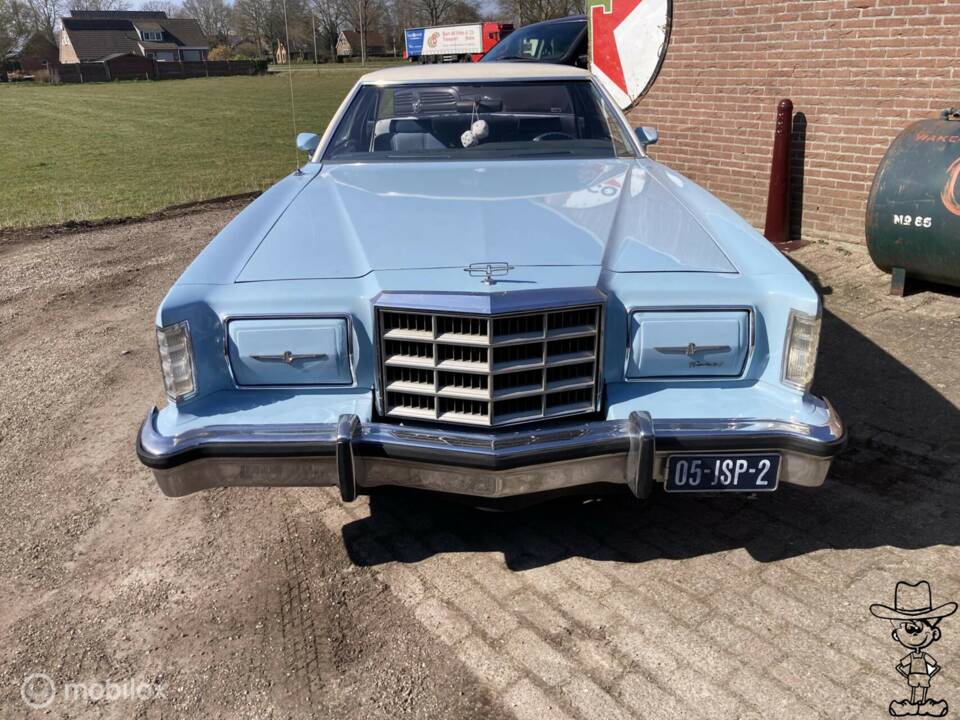 Afbeelding 3/29 van Ford Thunderbird (1979)