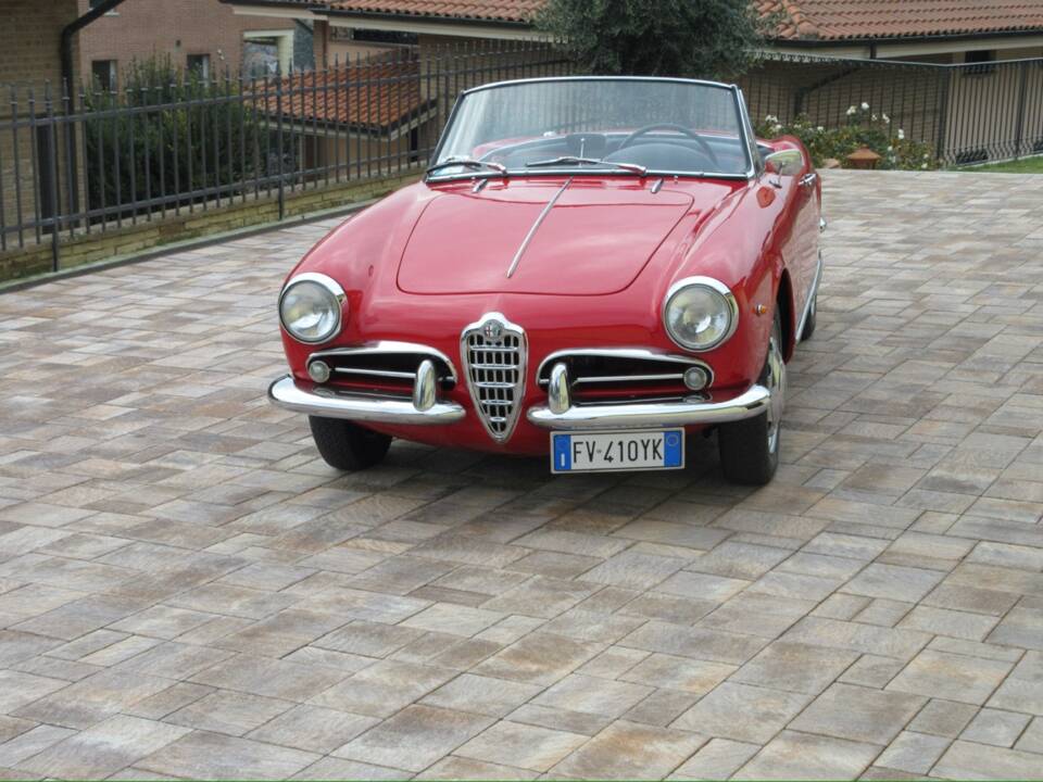 Bild 5/57 von Alfa Romeo Giulietta Spider (1961)