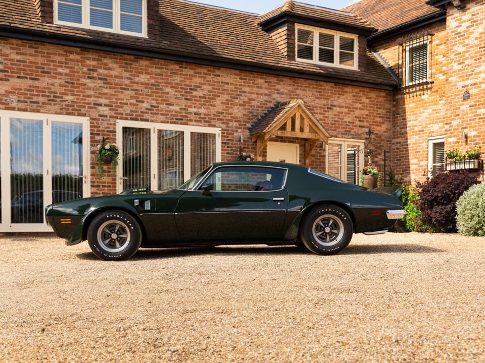Immagine 15/49 di Pontiac Firebird TransAm (1973)