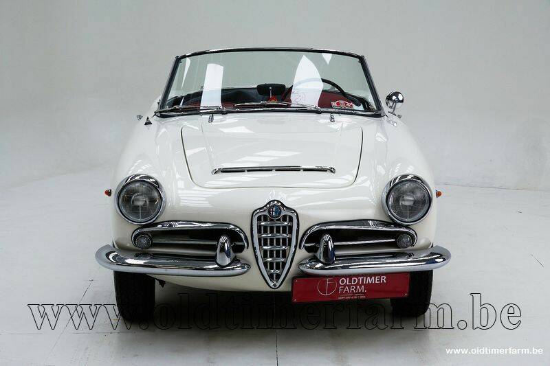 Image 9/30 de Alfa Romeo Giulia 1600 Spider Veloce (1965)