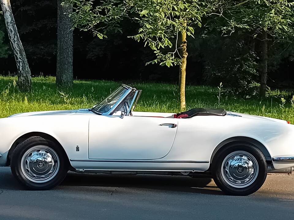 Afbeelding 4/53 van Alfa Romeo Giulietta Spider (1960)