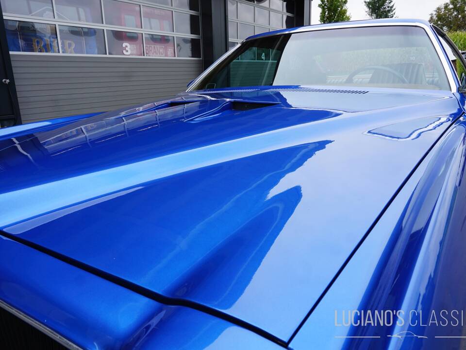 Afbeelding 16/58 van Pontiac GTO (1973)