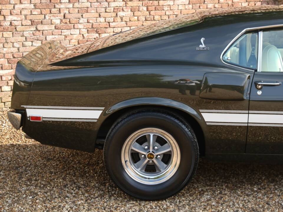 Image 13/50 of Ford Shelby GT 500 (1969)