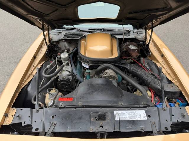 Image 17/21 of Pontiac Firebird TransAm (1979)