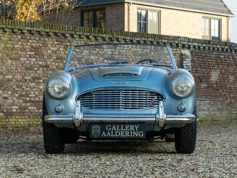 Bild 21/50 von Austin-Healey 3000 Mk I (BN7) (1960)
