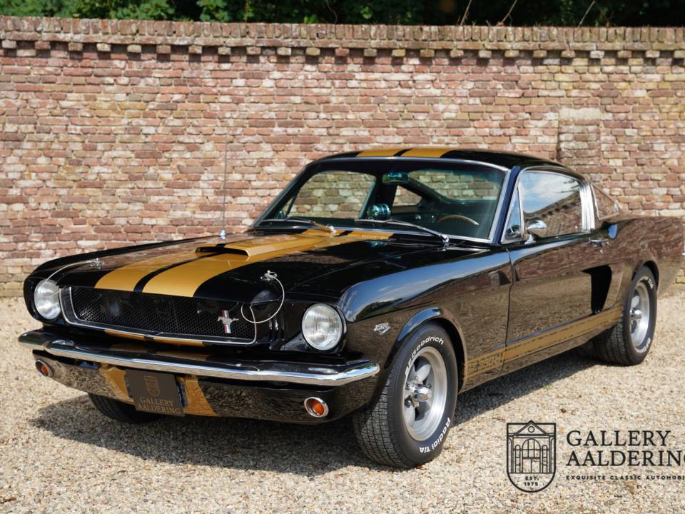 Image 25/50 of Ford Shelby GT 350 (1965)