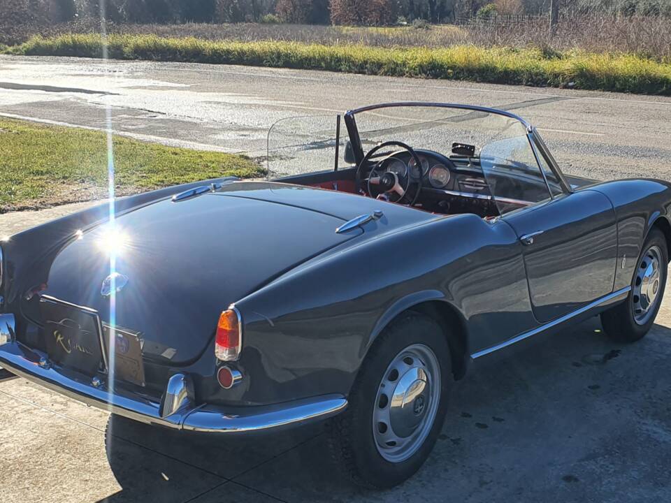 Image 15/50 of Alfa Romeo Giulietta Spider (1959)