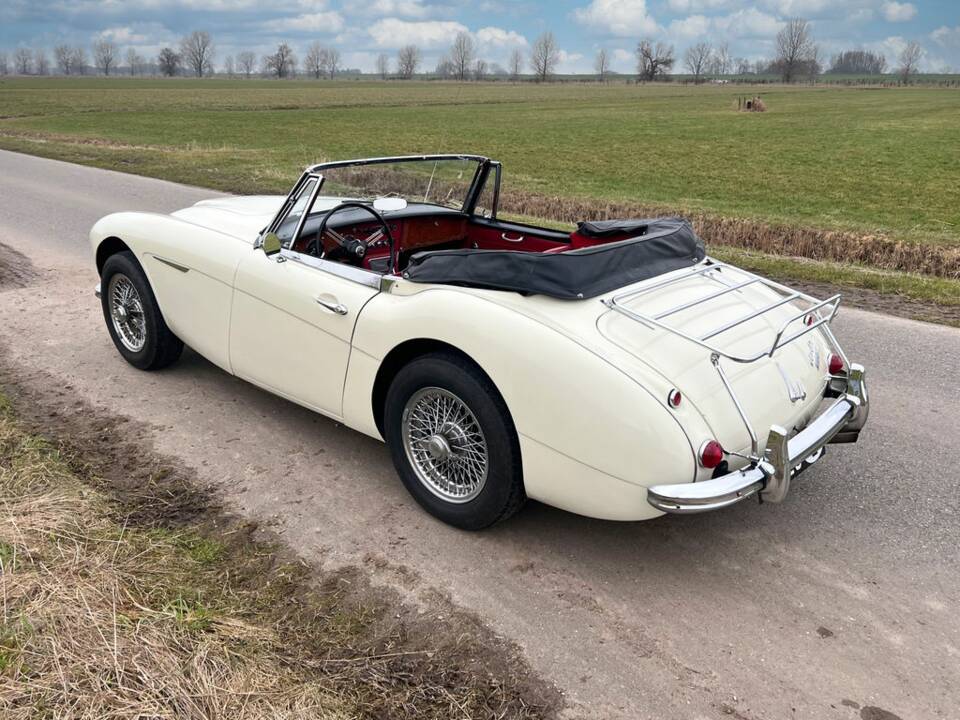 Immagine 8/8 di Austin-Healey 3000 Mk III (BJ8) (1964)
