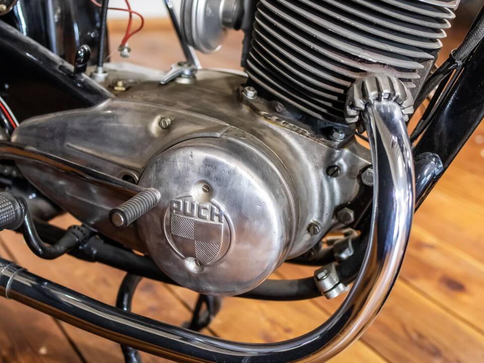 Image 11/12 de Puch 250 TF (1953)